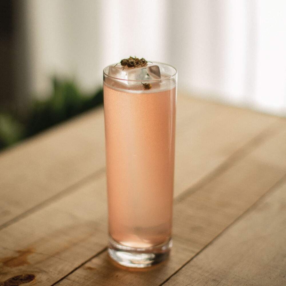 Rhubarb Collins