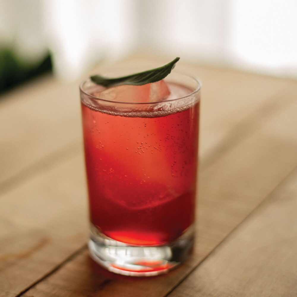 Hibiscus Collins